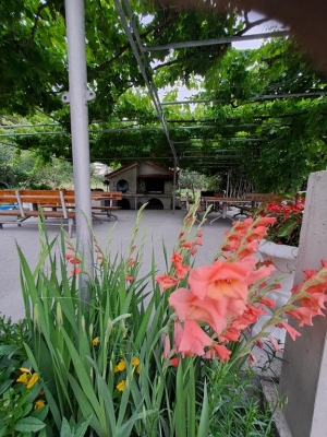 Apartman Gordana 4: