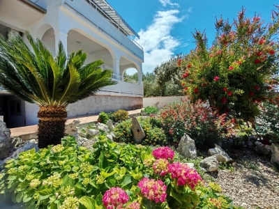 Apartman BRUNA: