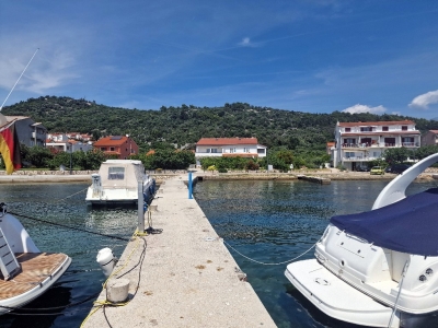 Barbat 