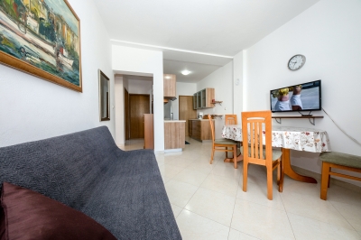 Apartment MAX 1: