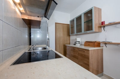 Apartment MAX 1: