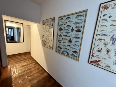 Apartman HRVOJE: