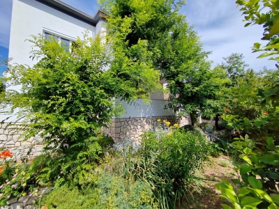 Apartman VLADO 2: