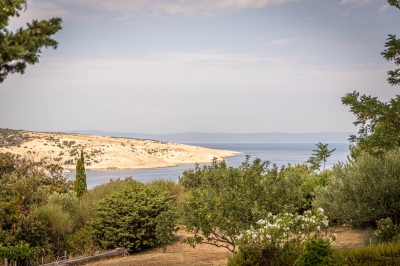 Apartman ANKICA T: