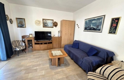 Apartman Tonek 1: